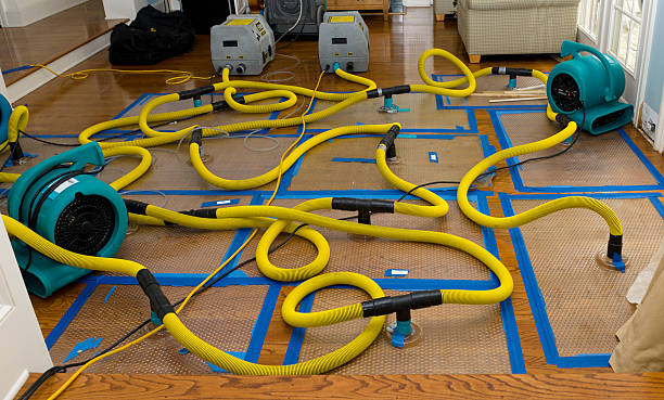Professional Water Damage Repair technician working in Justiceburg, TX