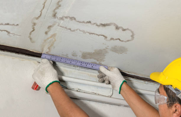 Affordable Water Damage Repair solutions in Justiceburg, TX
